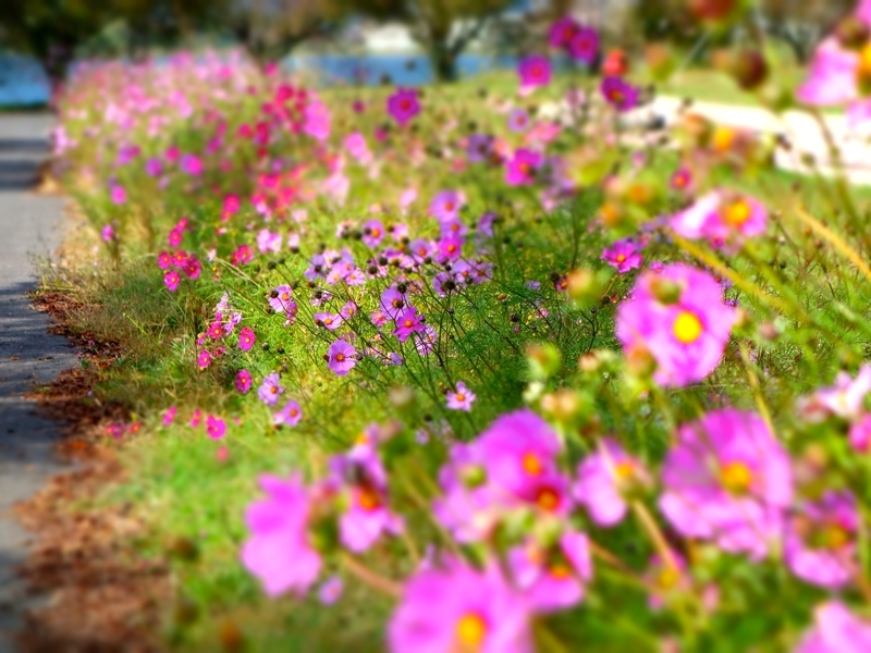f:id:akeyno:20181020092104j:image