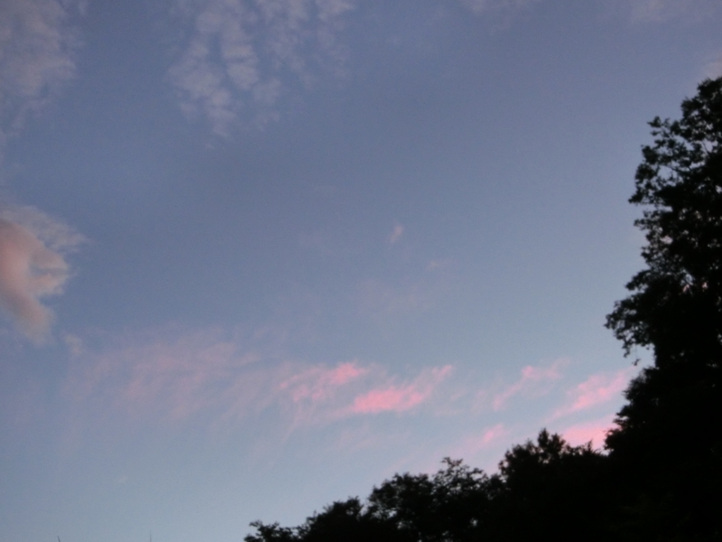 f:id:akeyno:20190120165422j:plain