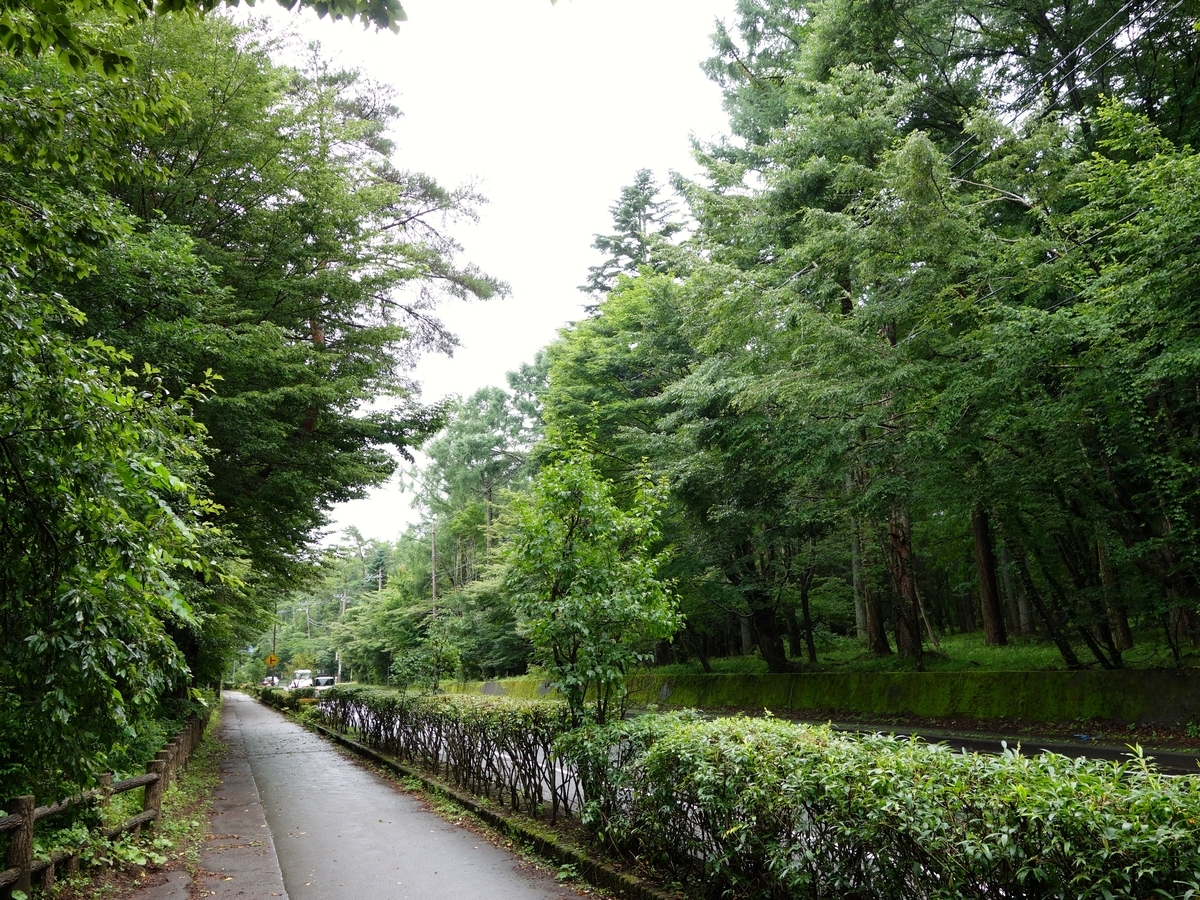 f:id:akeyno:20190727193150j:plain f:id:akeyno:20190727193150j:plain