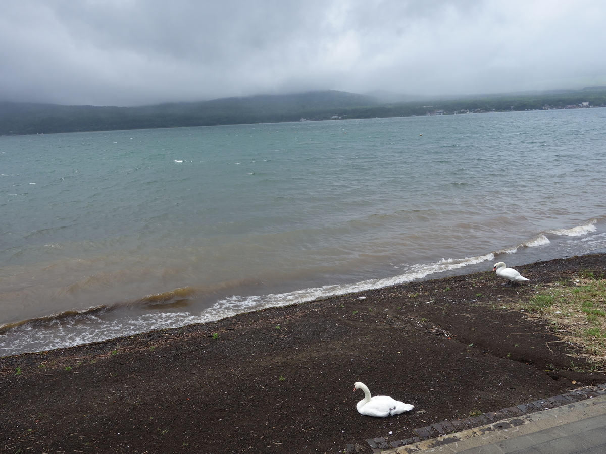 f:id:akeyno:20190727210600j:plain f:id:akeyno:20190727210600j:plain