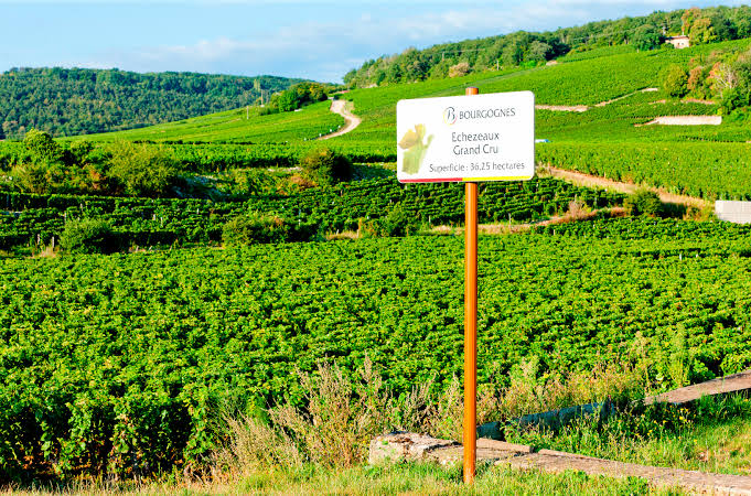 f:id:akhrkun:20200521194759j:plain