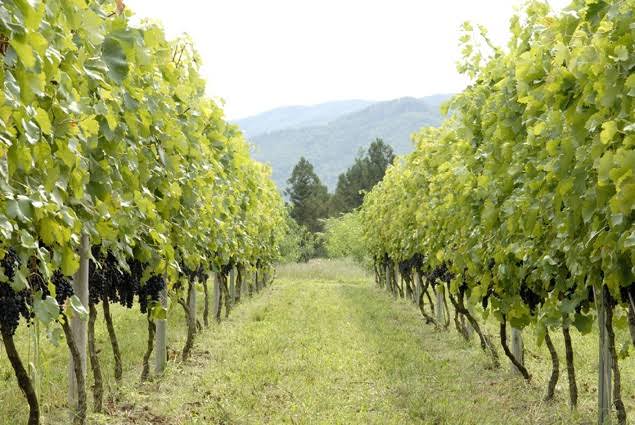 f:id:akhrkun:20200521195151j:plain