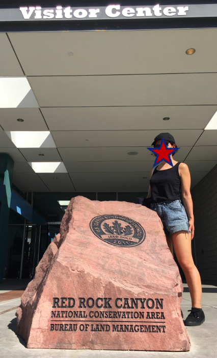 f:id:aki-america:20161125204237p:plain