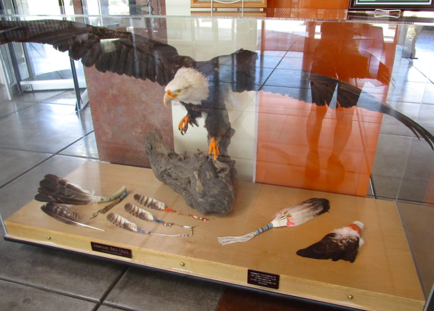 f:id:aki-america:20161125204243p:plain