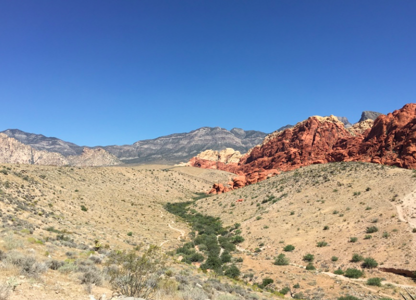 f:id:aki-america:20161125204346p:plain