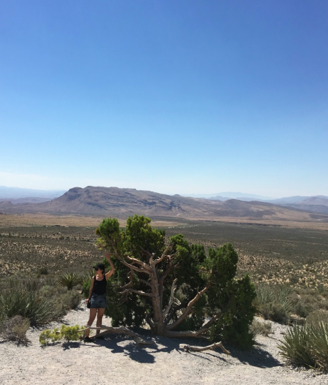 f:id:aki-america:20161125204356p:plain