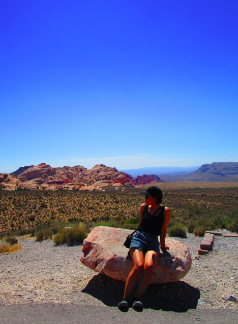 f:id:aki-america:20161125204415p:plain