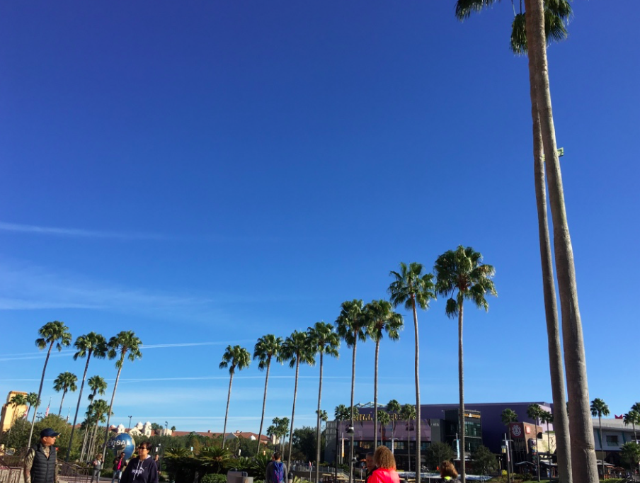 f:id:aki-america:20170310175530p:plain f:id:aki-america:20170310175530p:plain