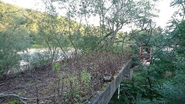 f:id:aki-hs125:20190705104038j:image