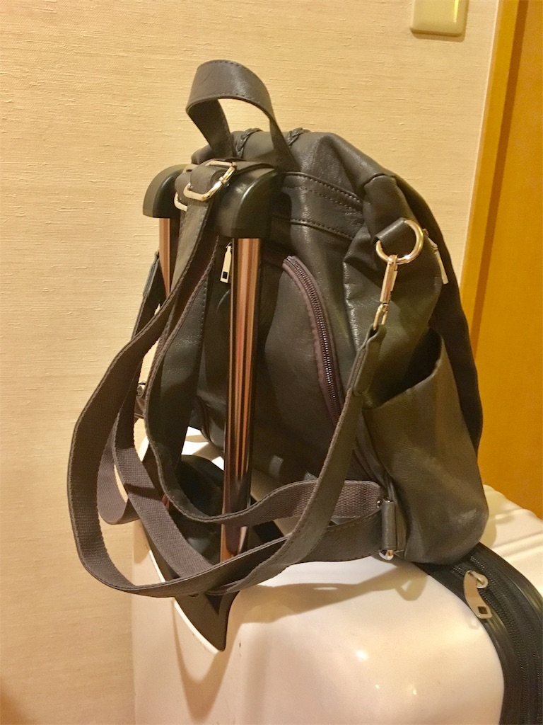 f:id:aki-n42913:20181002203556j:image f:id:aki-n42913:20181002203556j:image