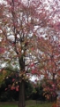 20151122120630