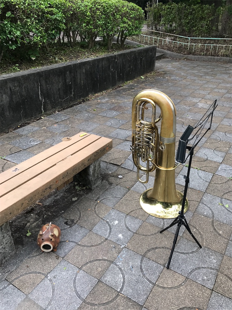 f:id:aki-washoitubayaro:20170628140150j:image f:id:aki-washoitubayaro:20170628140150j:image