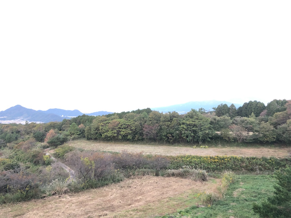 f:id:aki1717ok:20201104060910j:image
