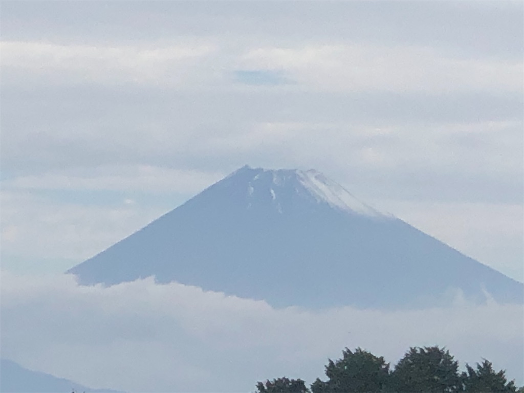 f:id:aki1717ok:20201108132834j:image