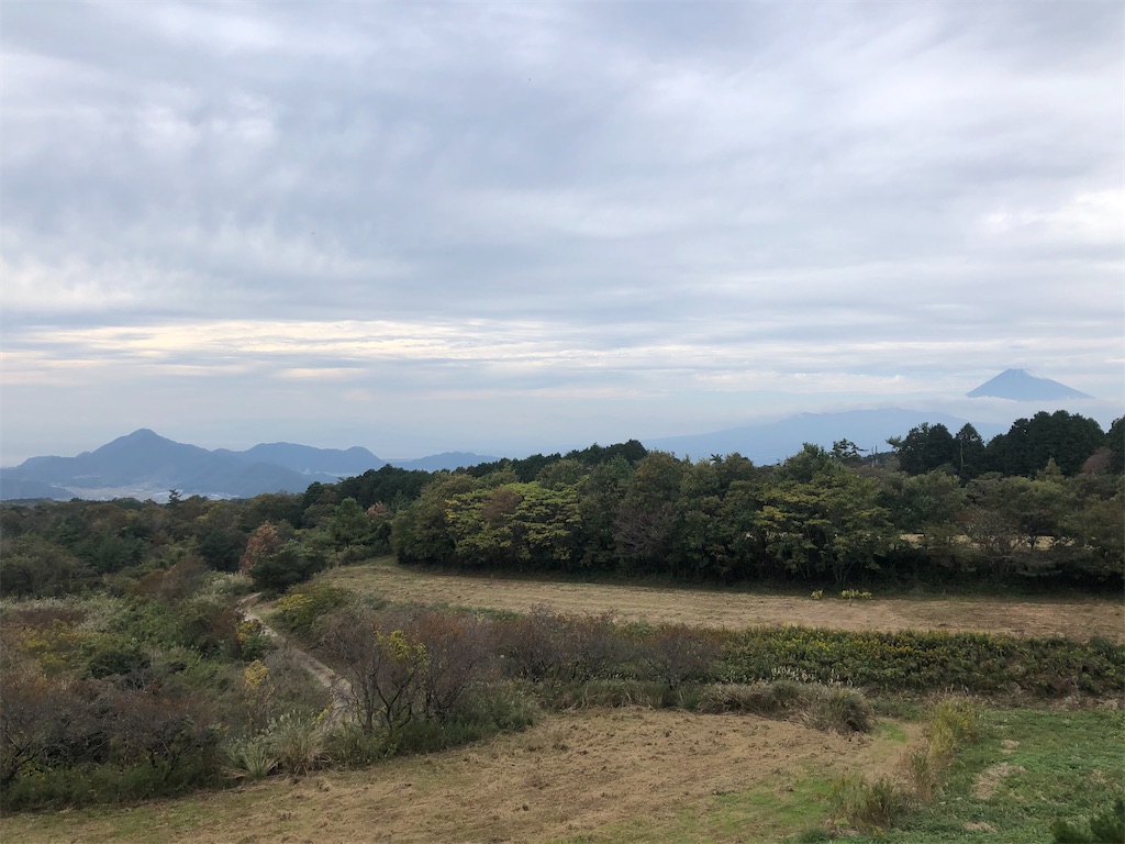 f:id:aki1717ok:20201108132846j:image