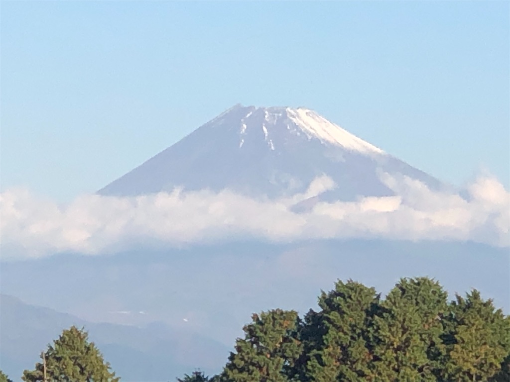 f:id:aki1717ok:20201110072230j:image
