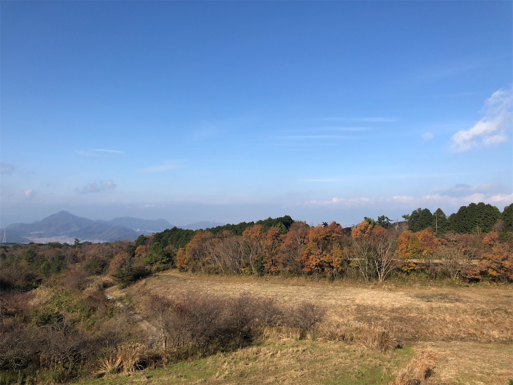 f:id:aki1717ok:20201213093405j:image
