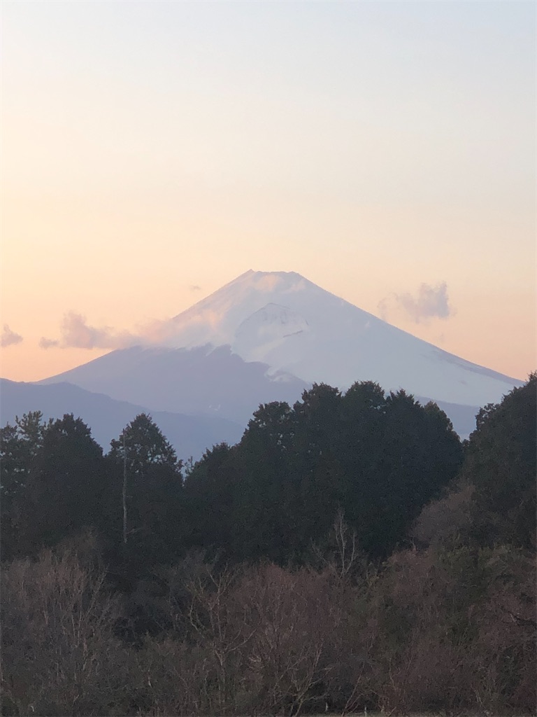 f:id:aki1717ok:20210314173940j:image