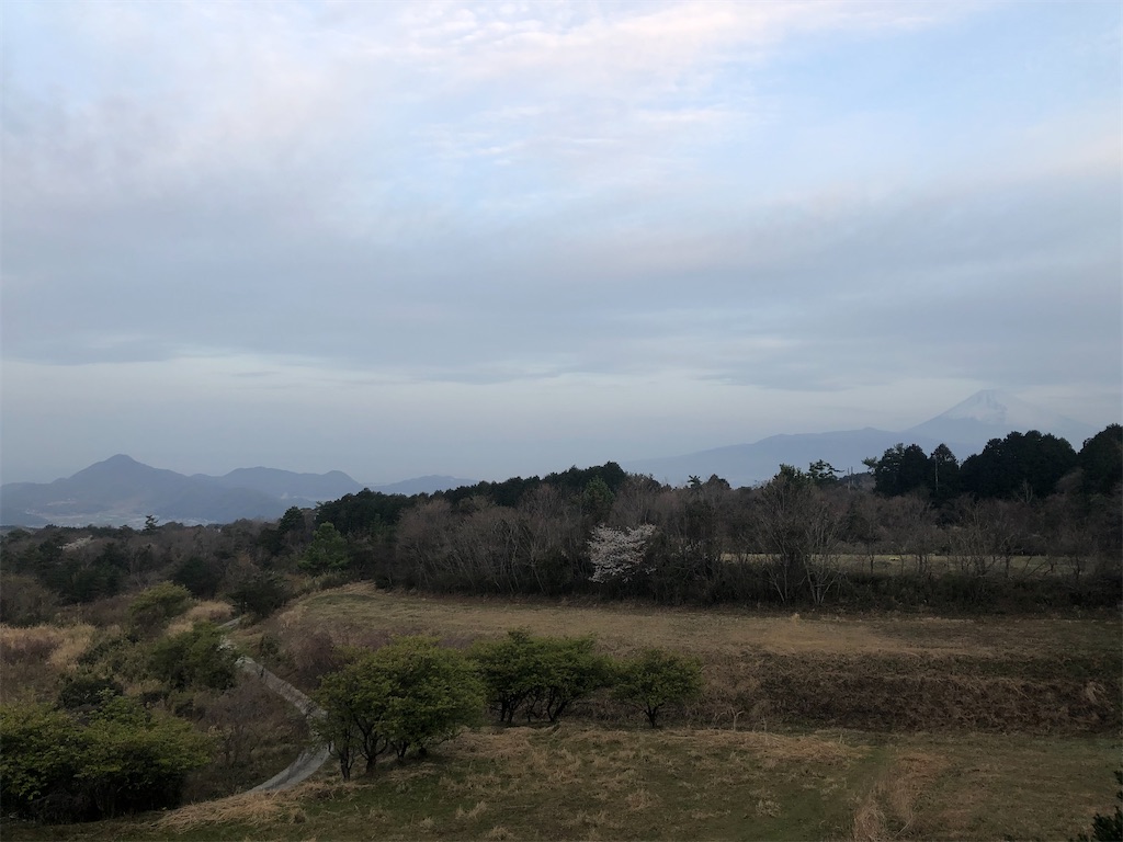 f:id:aki1717ok:20210319061249j:image