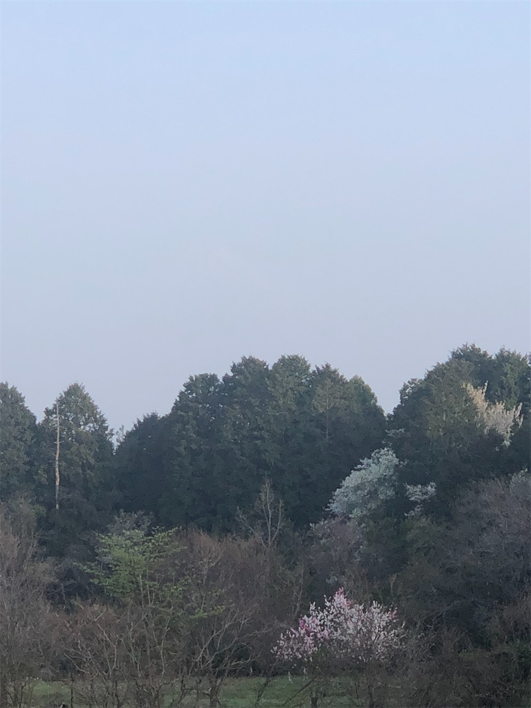f:id:aki1717ok:20210331063758j:image