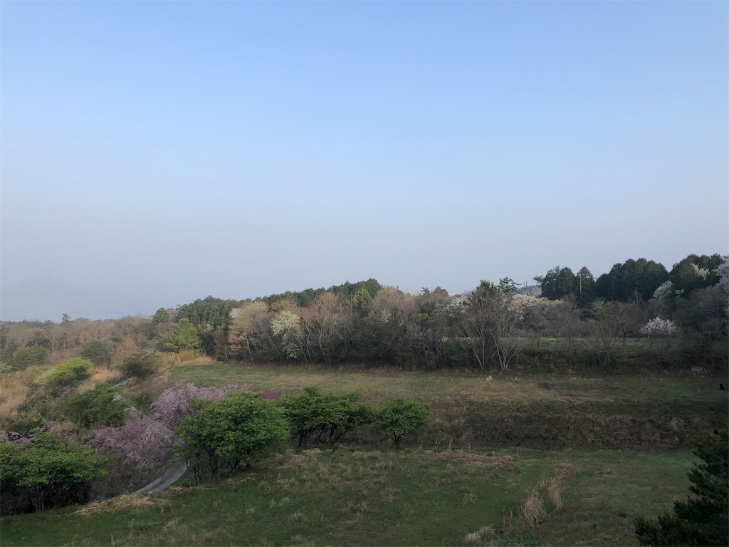 f:id:aki1717ok:20210331063809j:image
