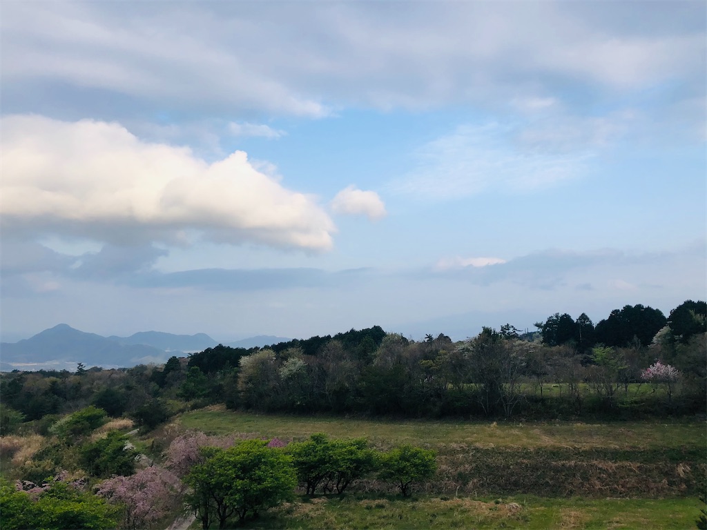 f:id:aki1717ok:20210402065552j:image