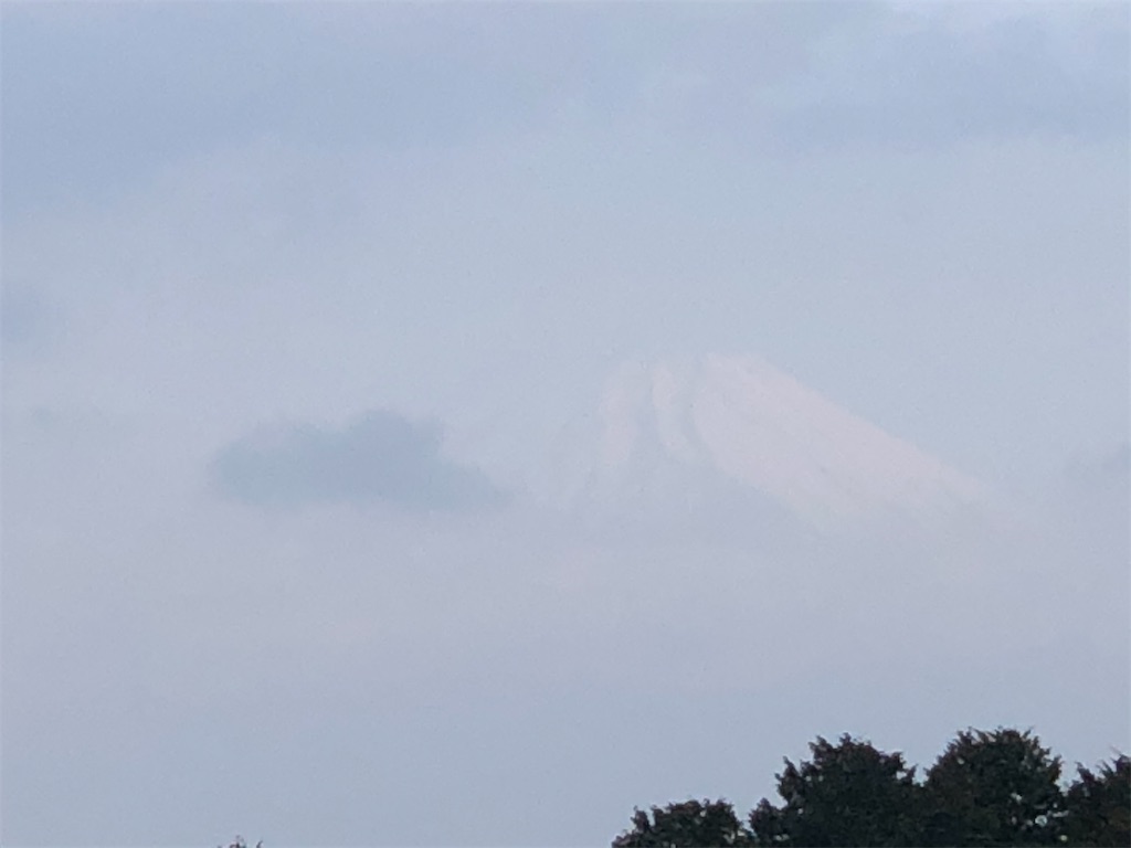 f:id:aki1717ok:20210402065556j:image
