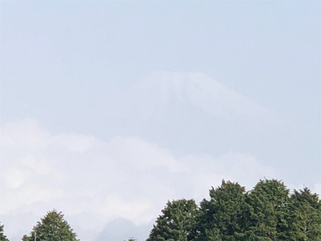 f:id:aki1717ok:20210509083548j:image