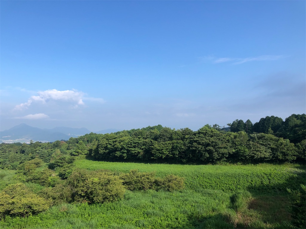 f:id:aki1717ok:20210728073319j:image