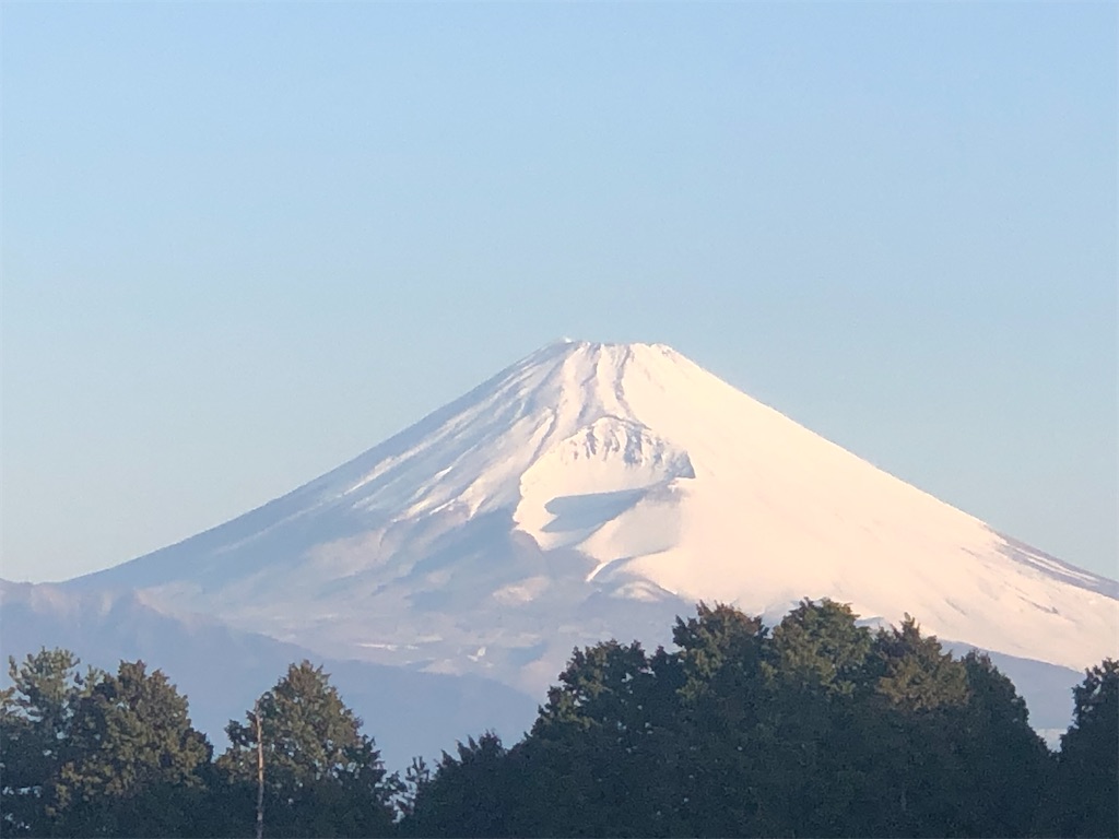 f:id:aki1717ok:20220324063130j:image