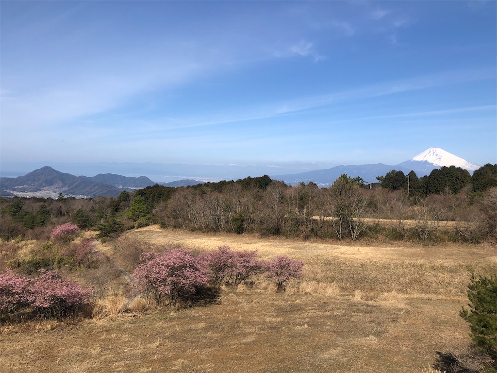 f:id:aki1717ok:20230304101448j:image