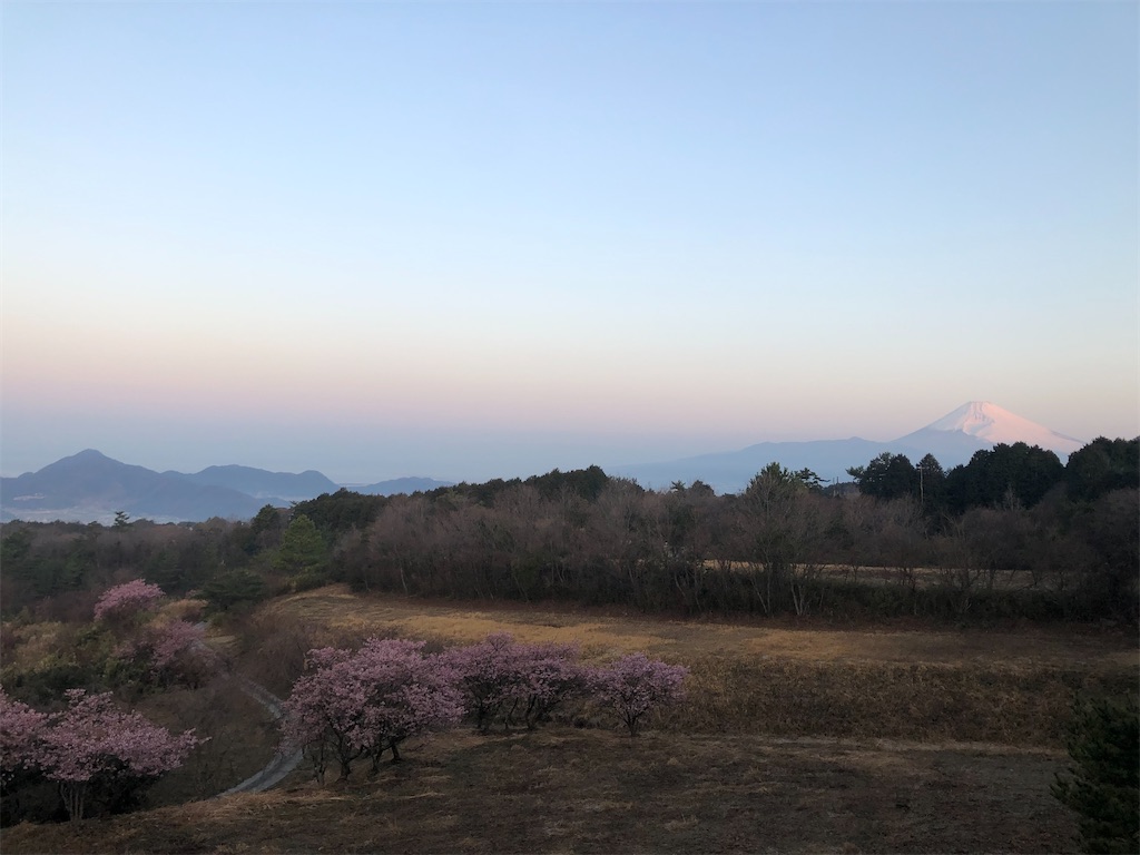 f:id:aki1717ok:20230307070048j:image
