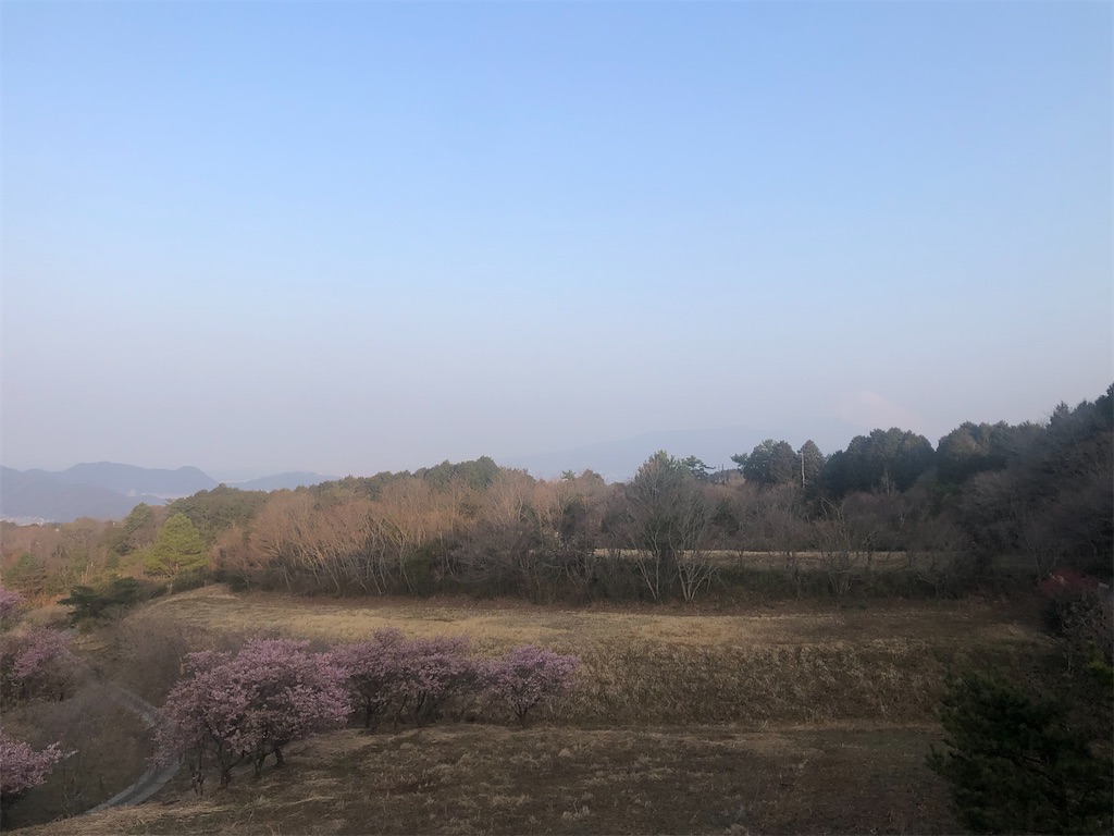 f:id:aki1717ok:20230309073709j:image