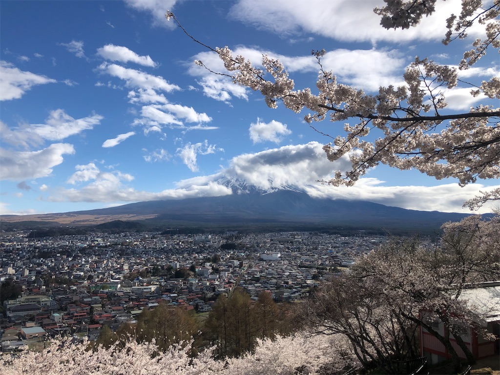 f:id:aki1717ok:20230408082734j:image