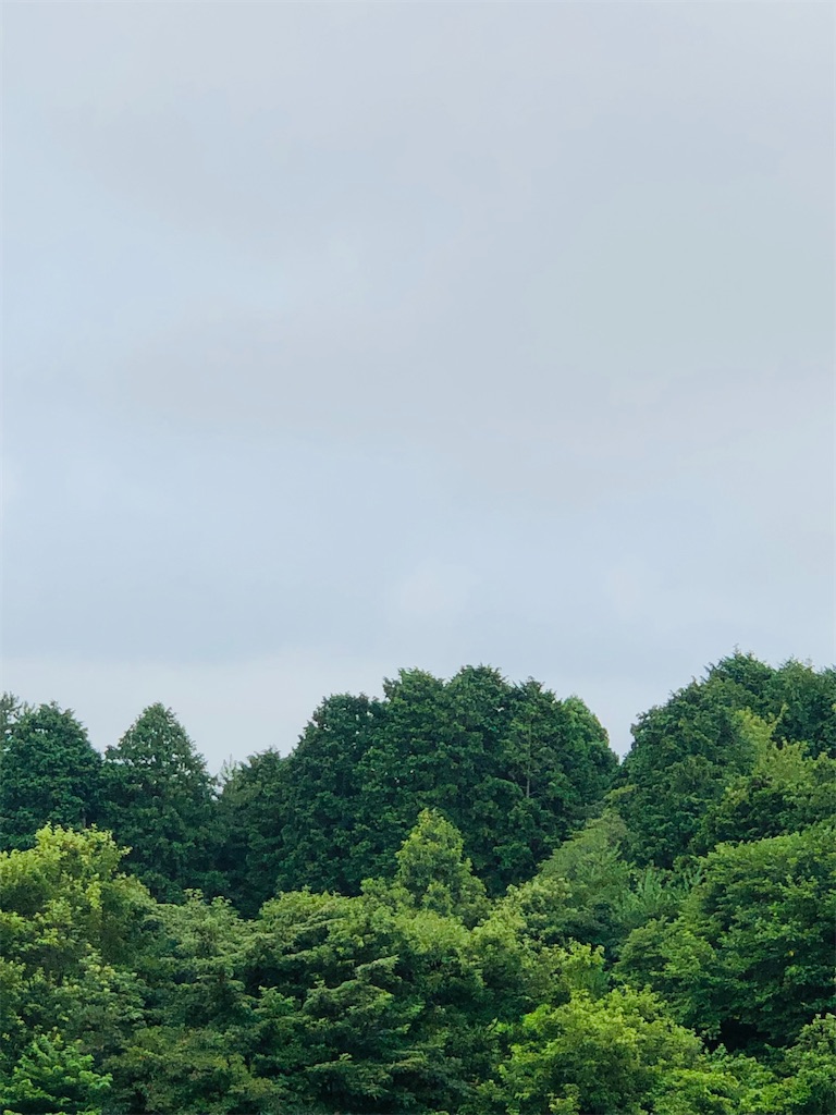 f:id:aki1717ok:20230728121036j:image