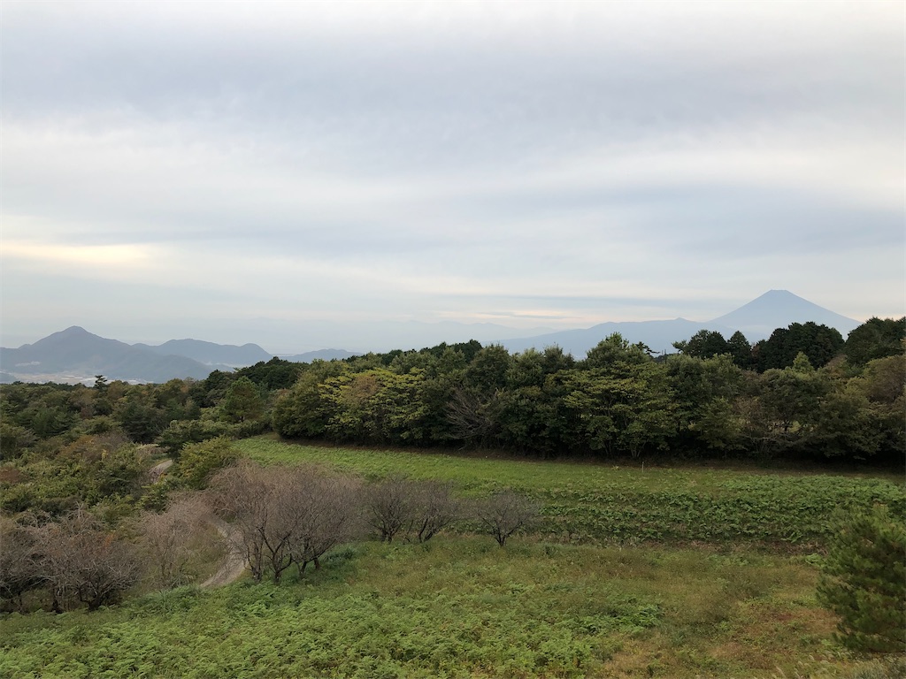 f:id:aki1717ok:20231109071932j:image