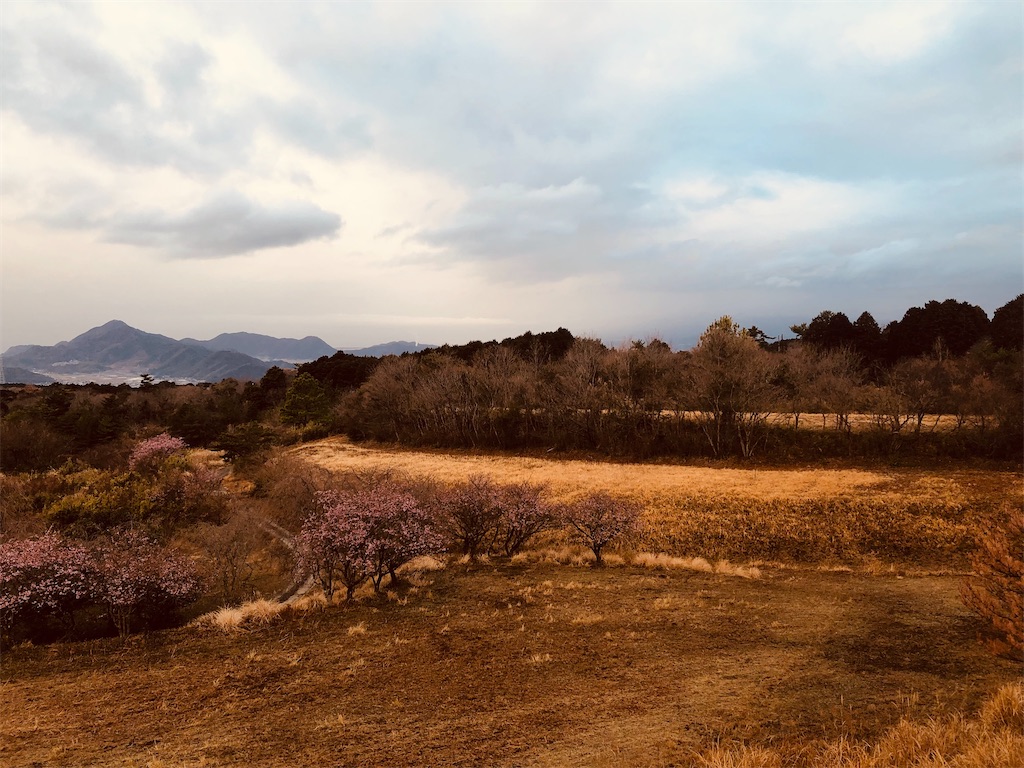 f:id:aki1717ok:20240219065830j:image