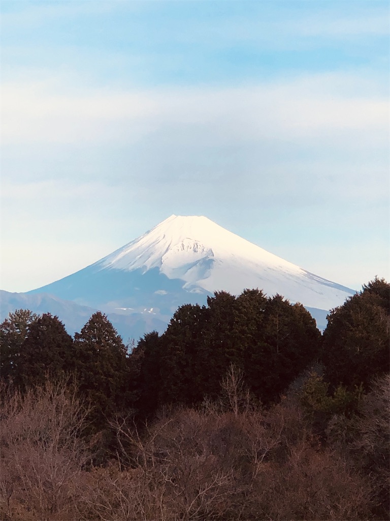 f:id:aki1717ok:20240302072154j:image