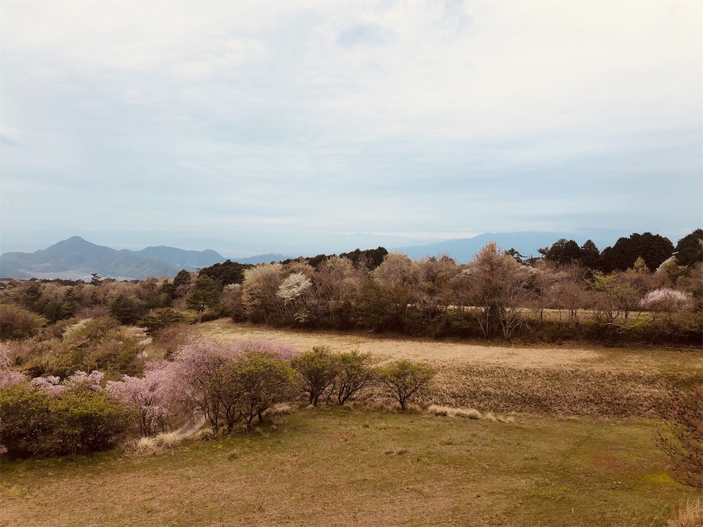 f:id:aki1717ok:20240412071746j:image