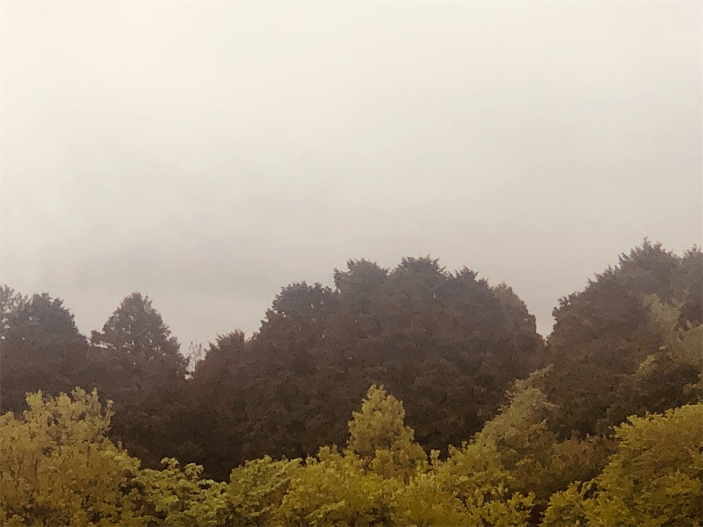 f:id:aki1717ok:20240424071236j:image