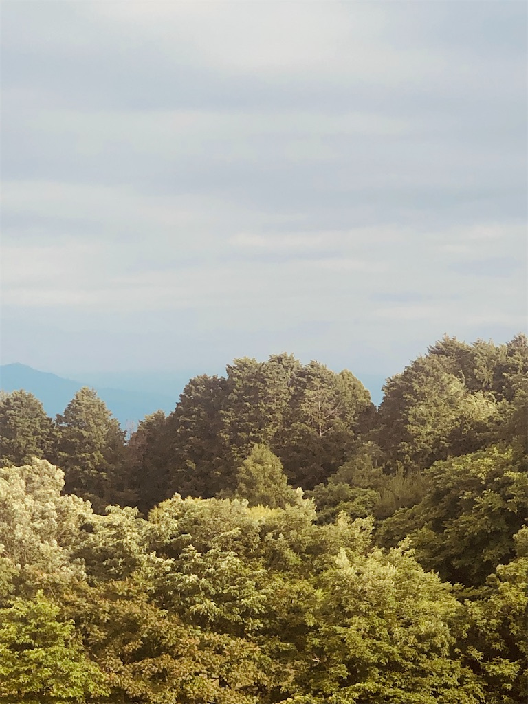 f:id:aki1717ok:20240525070936j:image