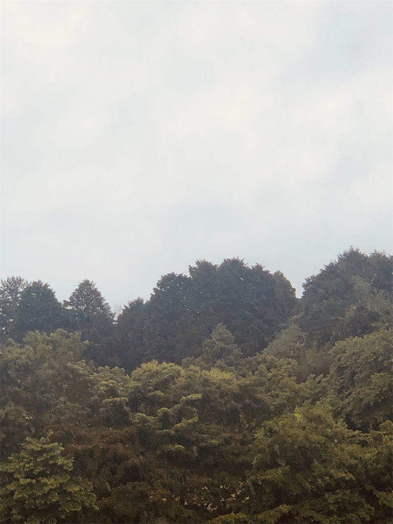 f:id:aki1717ok:20240528071730j:image