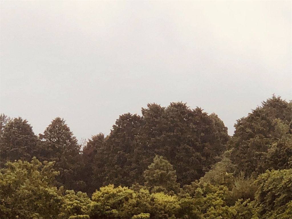 f:id:aki1717ok:20240531070140j:image