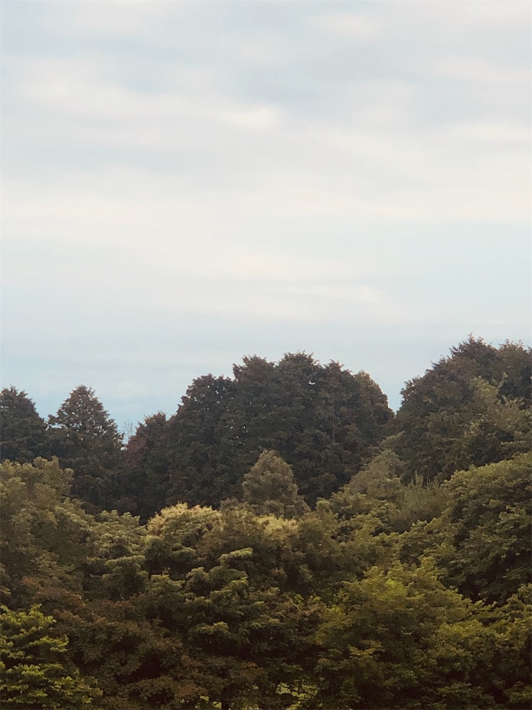 f:id:aki1717ok:20240611065728j:image