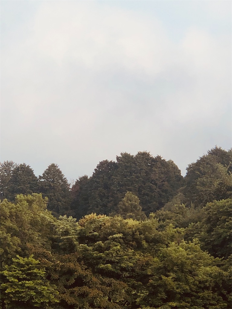 f:id:aki1717ok:20240617064530j:image