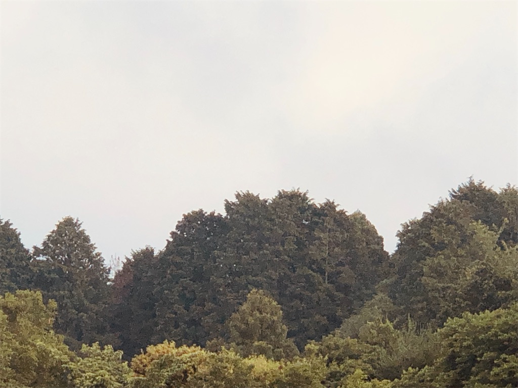 f:id:aki1717ok:20240617064533j:image