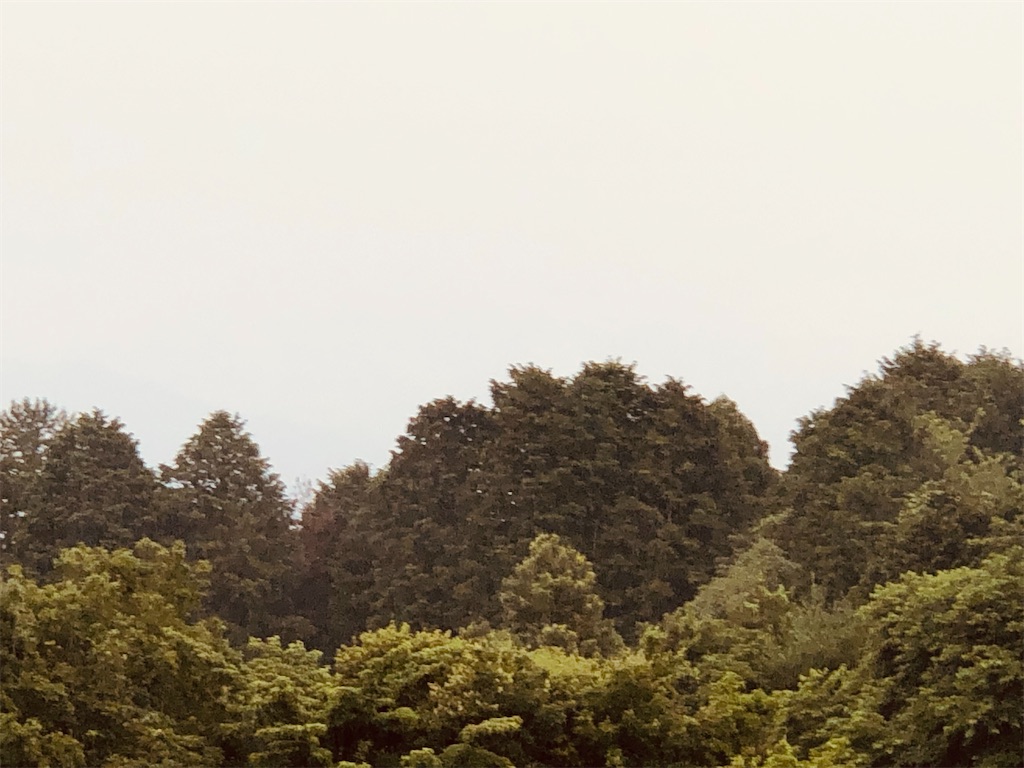 f:id:aki1717ok:20240621065718j:image