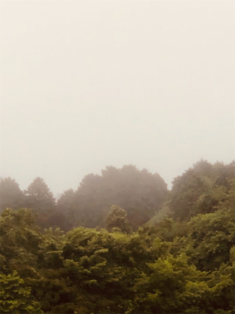 f:id:aki1717ok:20240623082601j:image