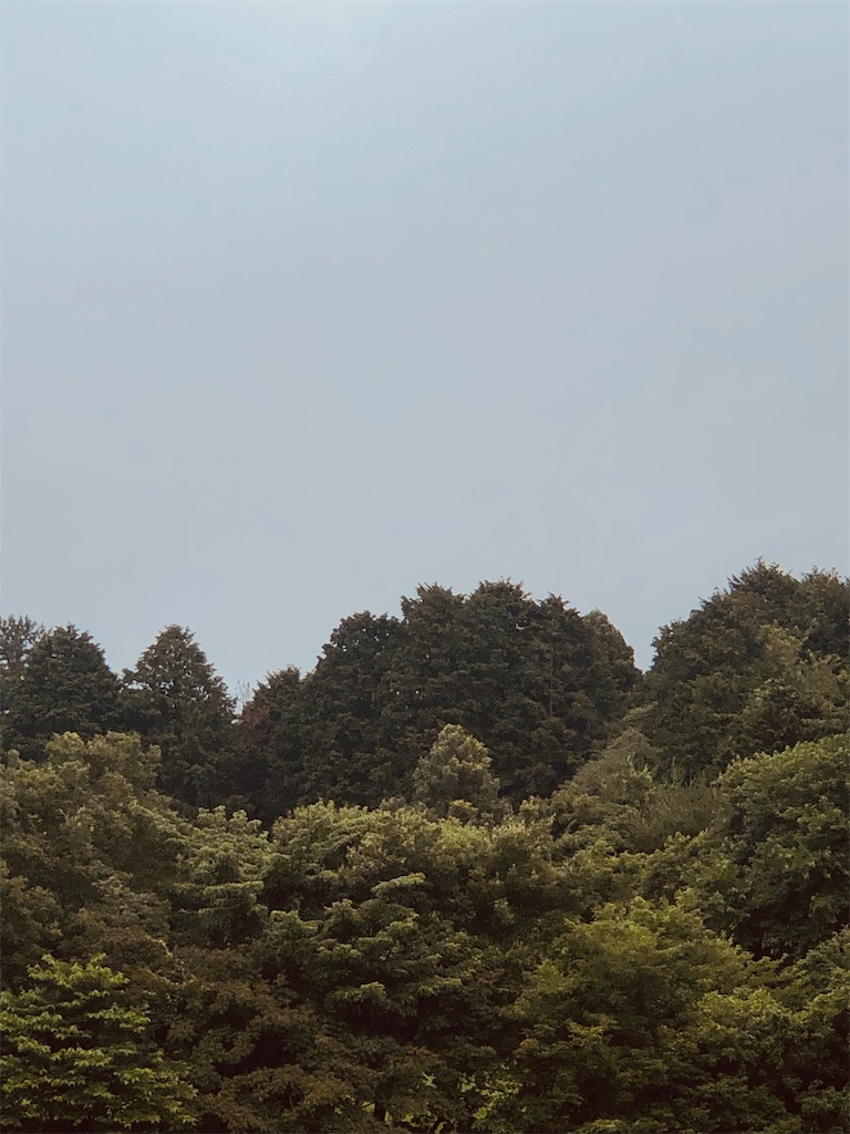 f:id:aki1717ok:20240624071733j:image