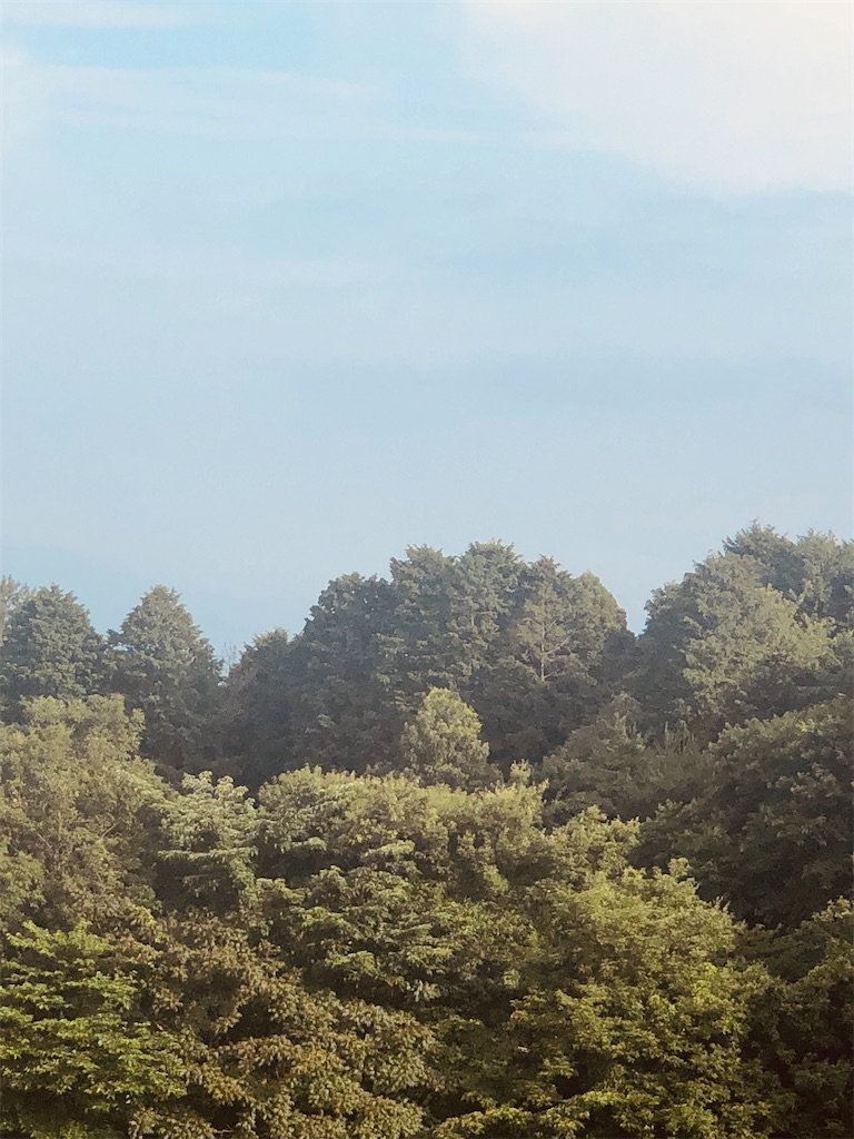 f:id:aki1717ok:20240627070935j:image